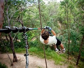 TreeTop Challenge - Taree Accommodation 0