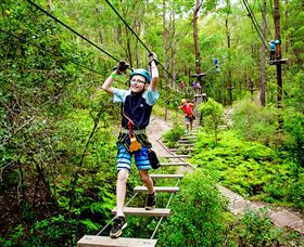 TreeTop Challenge - Taree Accommodation 1