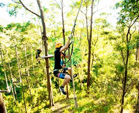 TreeTop Challenge - Taree Accommodation 3