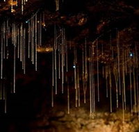 Tamborine Mountain Glow Worm Caves - Taree Accommodation