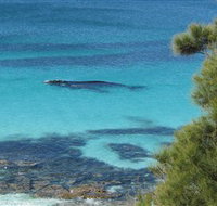 Jervis Bay Marine Park - Taree Accommodation