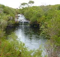Booderee National Park Green Patch and Telegraph Creek Walking Tracks - Taree Accommodation