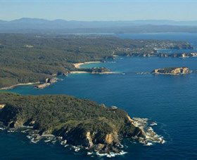 Banksia Walk - Burrewarra Point - Taree Accommodation 0