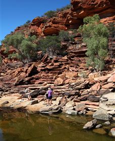 Inland Gorges - Taree Accommodation 2