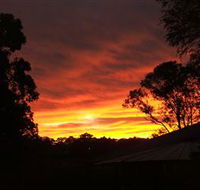 Tinonee Museum - Taree Accommodation