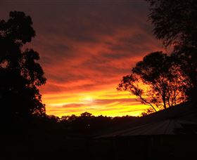 Tinonee Museum - Taree Accommodation 0