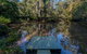 Brimbin Nature Reserve - thumb 0