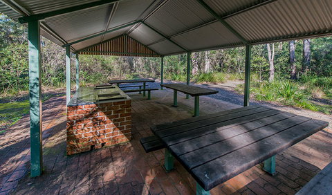Brimbin Nature Reserve - Taree Accommodation 1