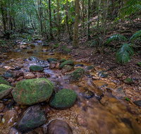 Starrs Creek picnic area - Taree Accommodation