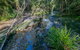 Dawson River Walking Track - thumb 0