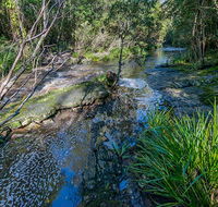 Dawson River walking track - Taree Accommodation