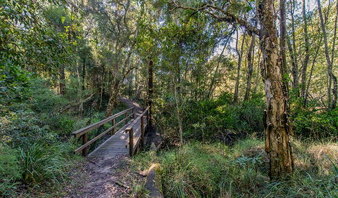 Dawson River Walking Track - Taree Accommodation 1