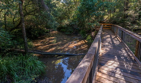 Ms Kellys Walking Track - Taree Accommodation 0