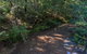 Ms Kellys Walking Track - thumb 2