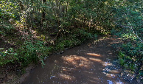 Ms Kellys Walking Track - Taree Accommodation 2