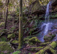 Coorabakh National Park - Taree Accommodation