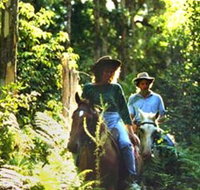 Clarendon Forest Retreat Horse Riding - Taree Accommodation