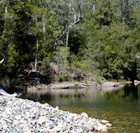 Mount Boss State Forest - Taree Accommodation