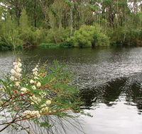 Wallingat National Park - Taree Accommodation