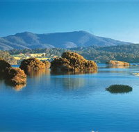 Wagonga Picnic Area - Taree Accommodation