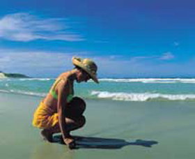 Hallidays Point NSW Taree Accommodation