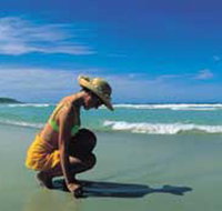 Diamond Beach - Taree Accommodation