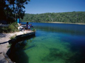 Naree Budjong Djara National Park - Taree Accommodation 1