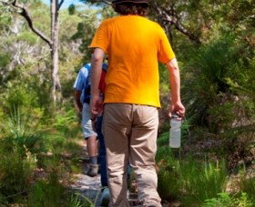 Naree Budjong Djara National Park - Taree Accommodation 3