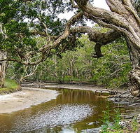 Saltwater National Park - Taree Accommodation