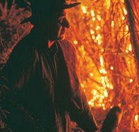 The Shed Gallery - Taree Accommodation