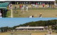 Black Head Bowling Club - thumb 1