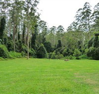 Kerewong State Forest - Taree Accommodation