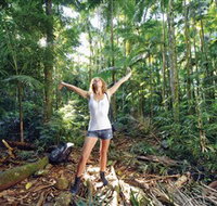 Victoria Park Nature Reserve - Taree Accommodation