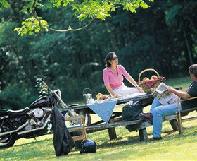 Victoria Park Nature Reserve - Taree Accommodation 2