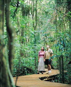Victoria Park Nature Reserve - Taree Accommodation 1