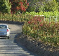 Cassegrain Wines - Taree Accommodation