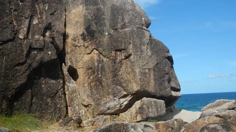 Arakoon National Park - Taree Accommodation 1