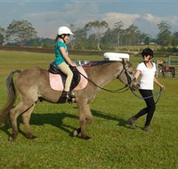 Port Macquarie Horse Riding Centre - Taree Accommodation
