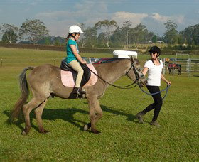 Port Macquarie Horse Riding Centre - Taree Accommodation 0