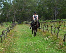 Port Macquarie Horse Riding Centre - Taree Accommodation 1