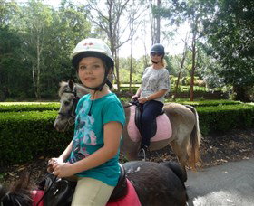 Port Macquarie Horse Riding Centre - Taree Accommodation 2