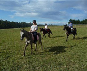 Port Macquarie Horse Riding Centre - Taree Accommodation 5