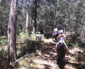 Port Macquarie Horse Riding Centre - Taree Accommodation 4