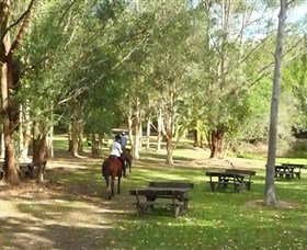 Port Macquarie Horse Riding Centre - Taree Accommodation 6