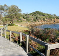 Mimosa Rocks walking track - Taree Accommodation