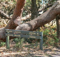 Middle Lagoon walking track - Taree Accommodation