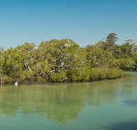 Tyagarah Nature Reserve - Taree Accommodation