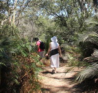 Nelson Lagoon - Taree Accommodation