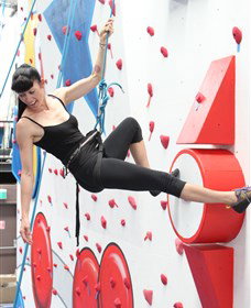Circus Arts Byron Bay - Taree Accommodation 2
