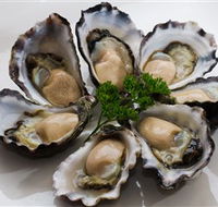 Tathra Oysters - Taree Accommodation